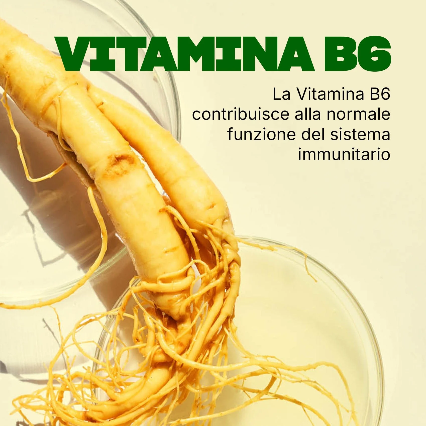 Entero Balance - Image 4