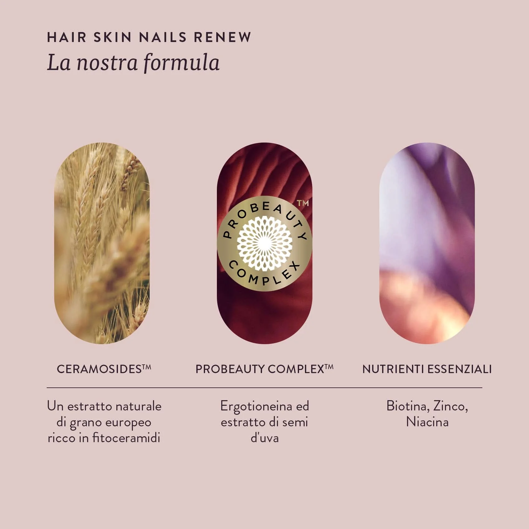 HAIR SKIN NAILS RENEW - Image 6