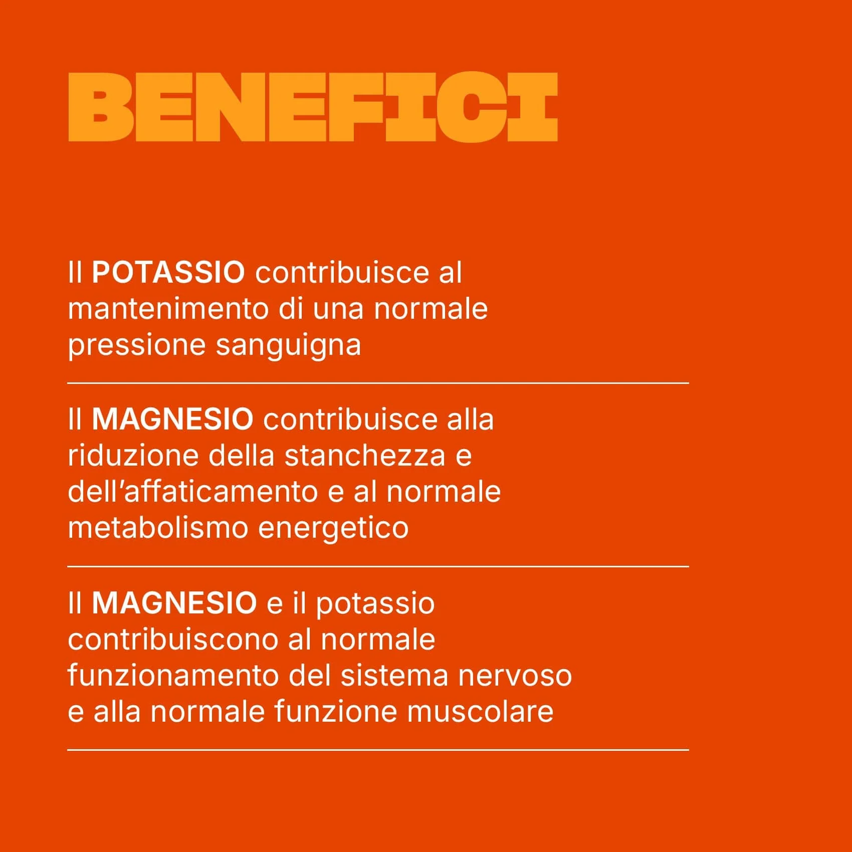 Magnesio e Potassio - Image 3