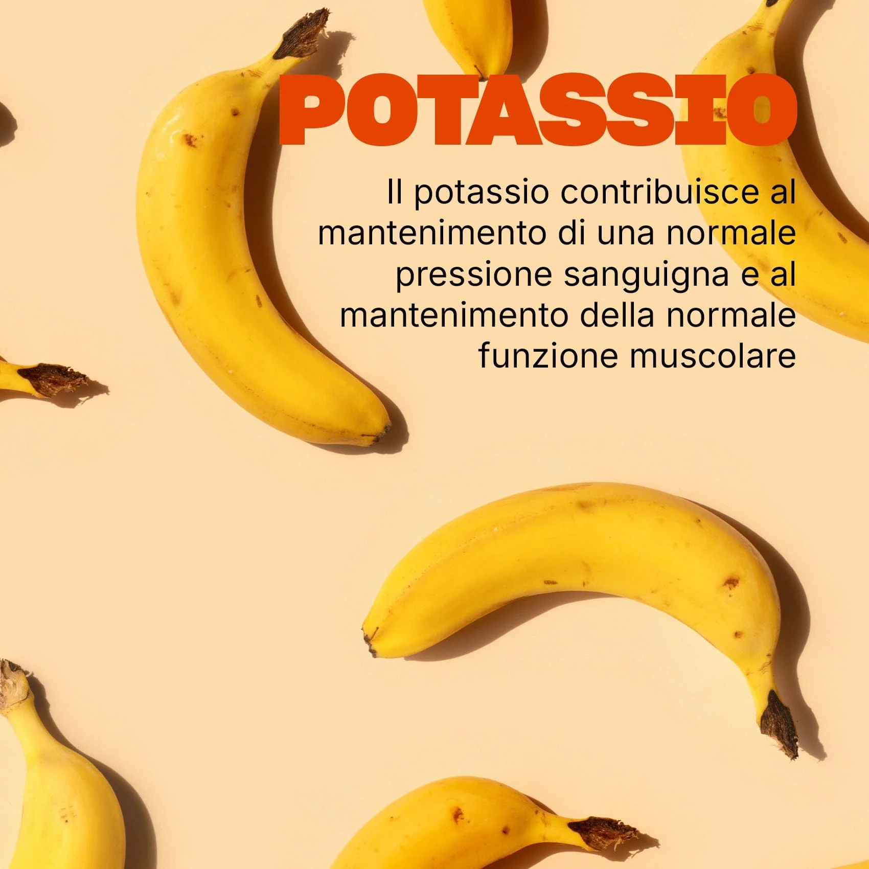 Magnesio e Potassio Forte - Image 5