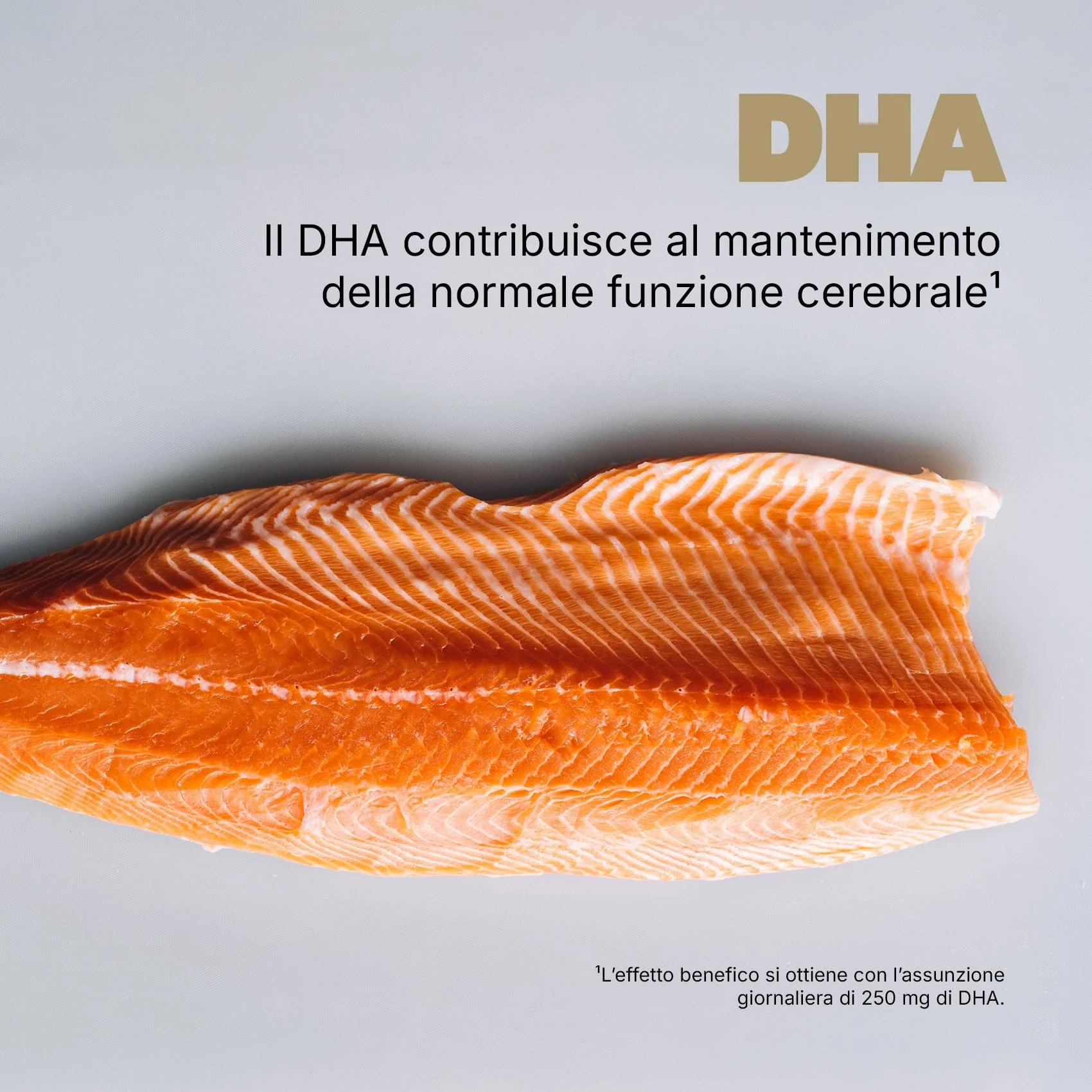 Memoria - Image 5