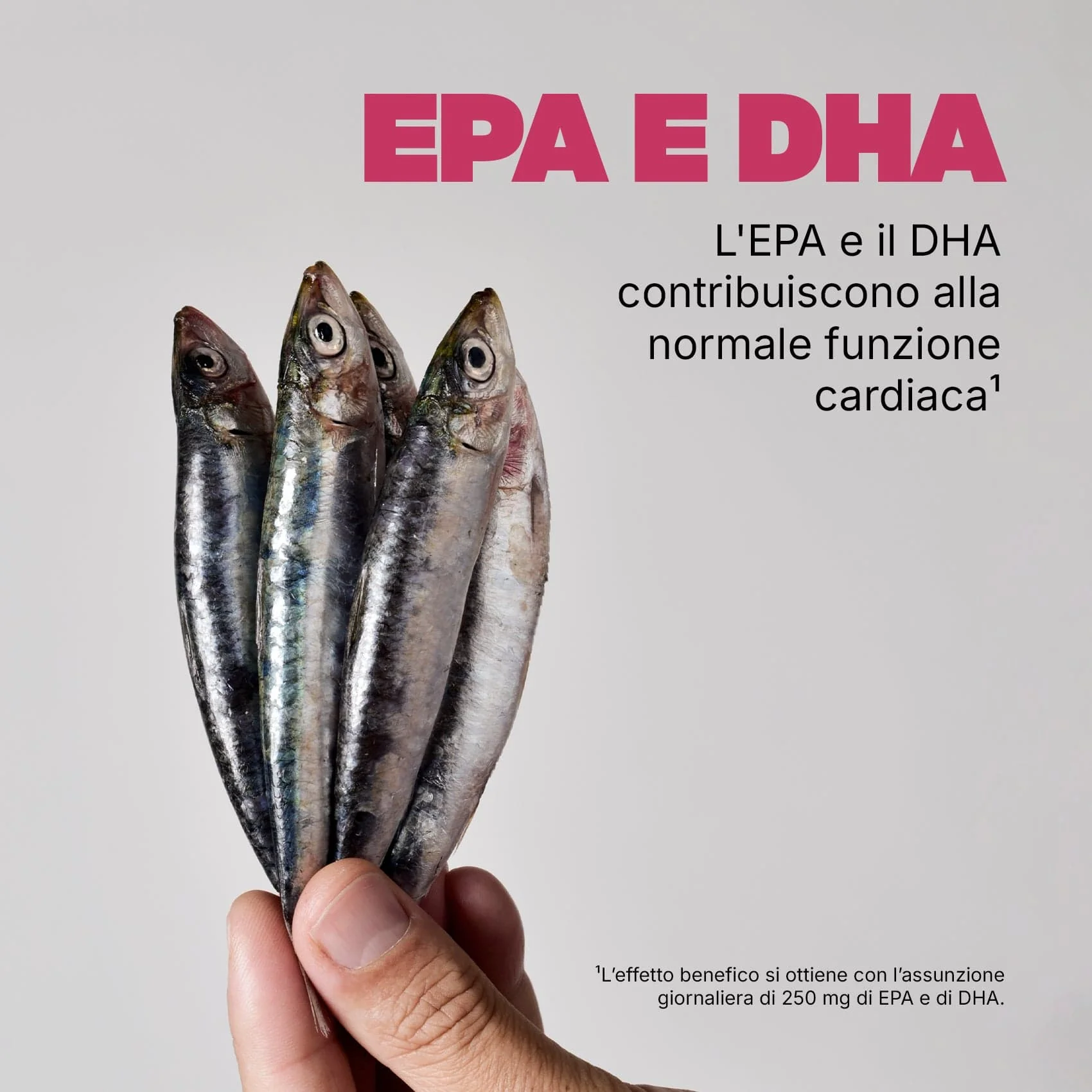 Omega 3 Concentrato - Image 5